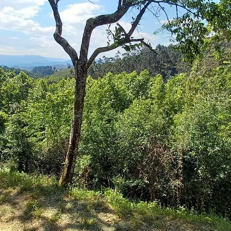 Bell-tenten Quinta Pomar Do Pontido * カベセイラス・デ・バスト