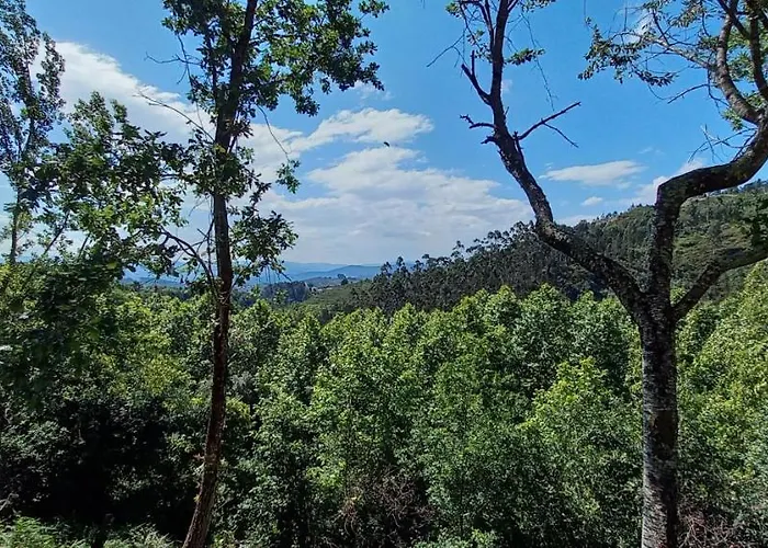 אוהל מפואר Bell-tenten Quinta Pomar Do Pontido