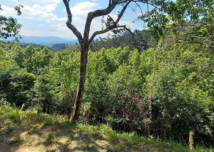 Bell-tenten Quinta Pomar Do Pontido * Cabeceiras de Basto